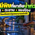 สัตว์มีพิษที่มากับน้ำท่วม งู ตะขาบ แมงป่อง ป้องกันและปฐมพยาบาล E26BLC ปิง วีรชน